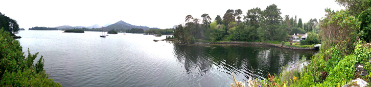 Blick aus dem Bambusgarten auf Bucht von Glengarriff